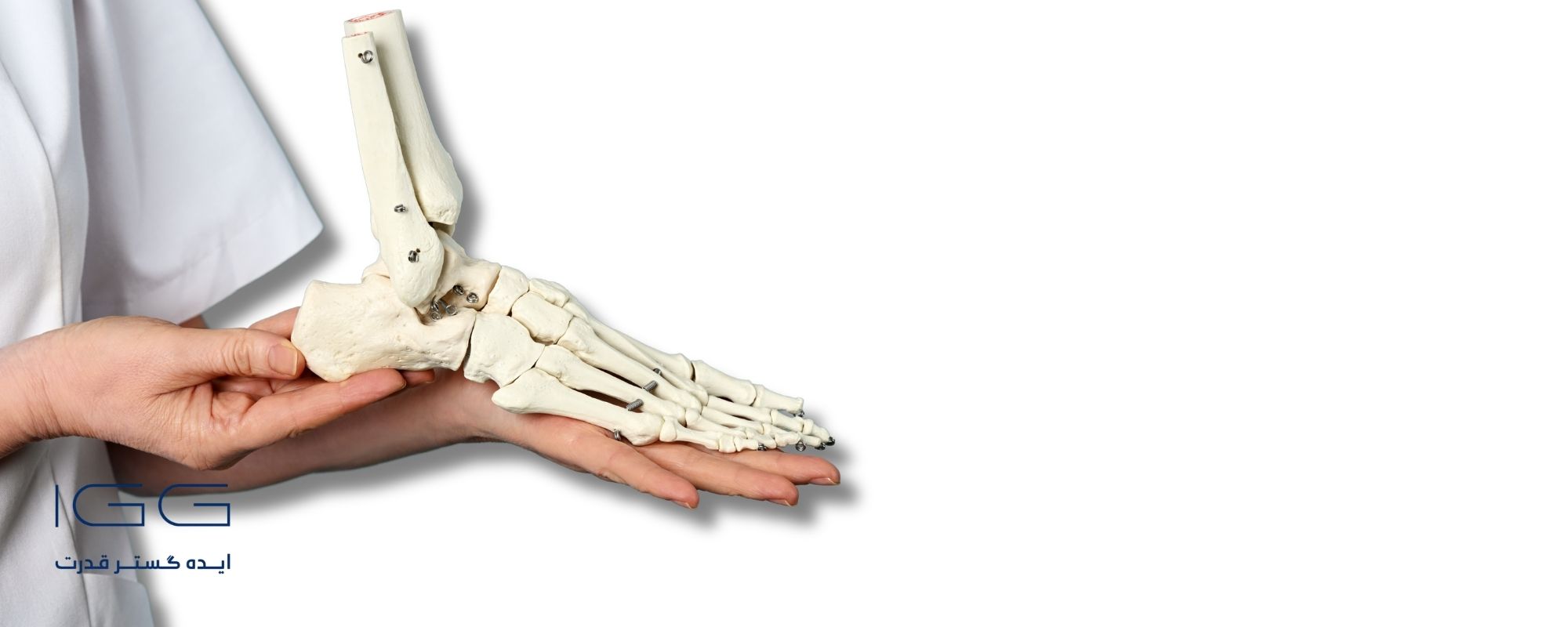 نقش سونوگرافی در نقطه مراقبت (POCUS) در روماتولوژی مدرن