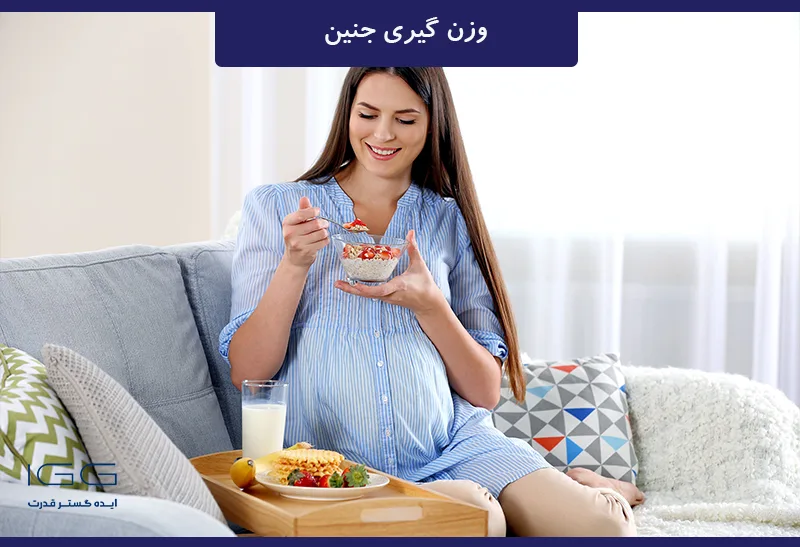 برای وزن گیری جنین چه خوراکی بخوریم؟