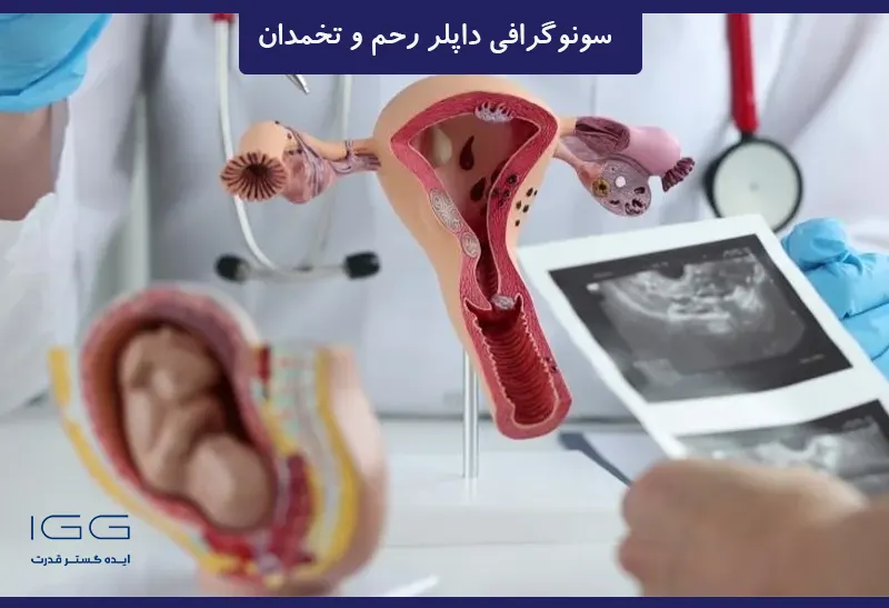 آمادگی سونوگرافی داپبر رحم و تخمدان