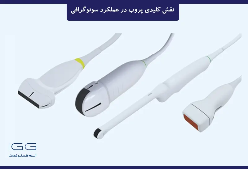 پروب در عملکرد سونوگرافی