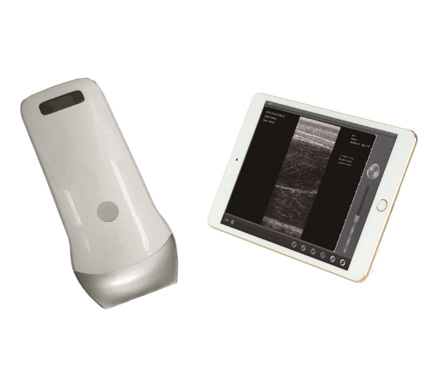 UProbe-2B Wireless Backfat & Lion Checker