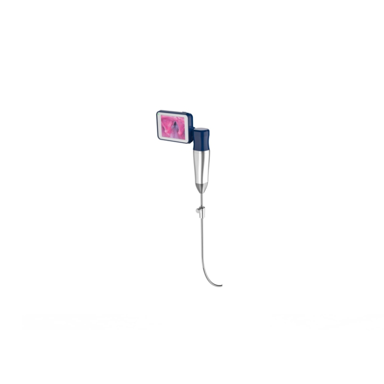 Video Intubation Stylet