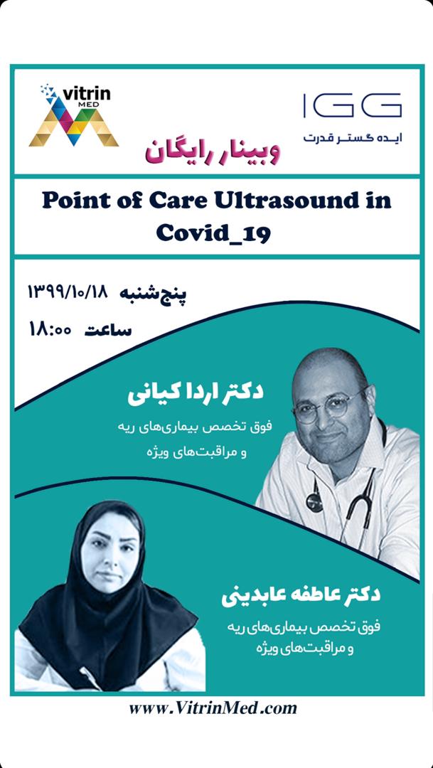 Point of Care, Handheld Ultrasound device in Covid 19